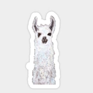 llama Sticker